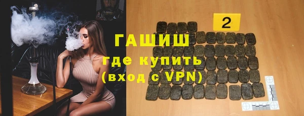 гашик Алексин