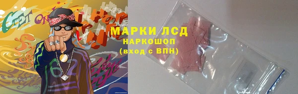 гашик Алексин