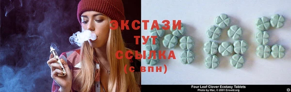 гашик Алексин