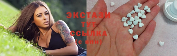 гашик Алексин