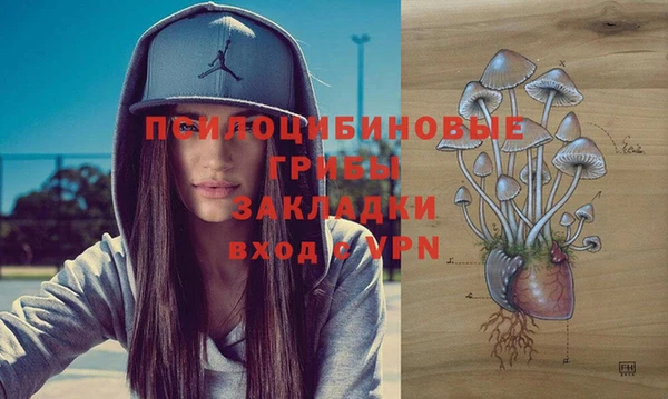 кокаин Алексеевка