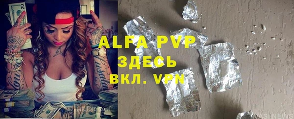гашик Алексин
