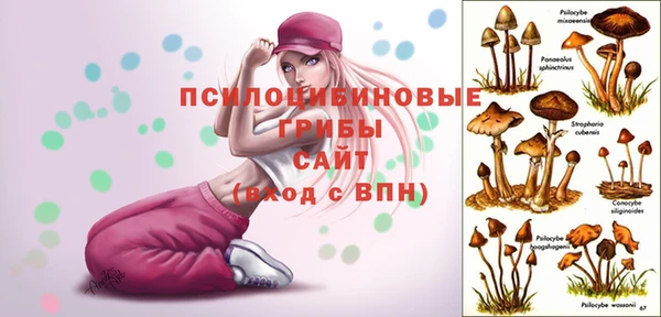 мет Алзамай