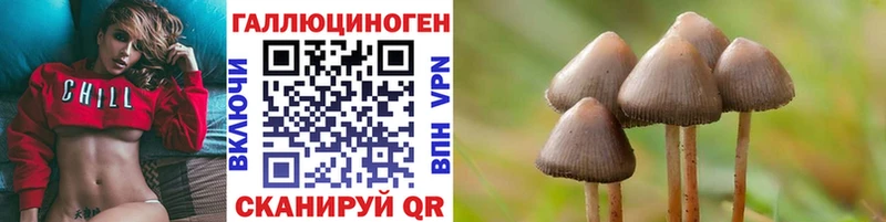 Псилоцибиновые грибы мицелий  купить наркоту  Саки 